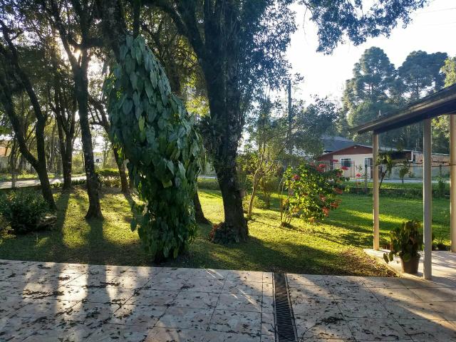 Chacarra a venda - Foto 4