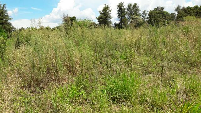 2000m² Em Londrina na Fazenda Nata, no limoeiro - Foto 2
