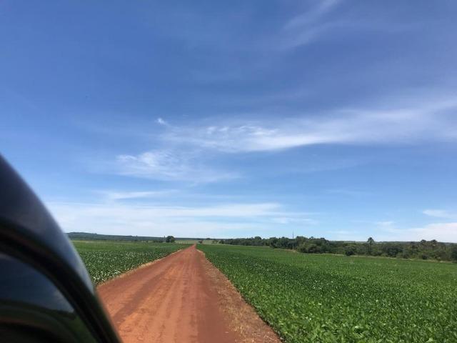 130 Alq. em Lavoura. Paraúna-GO. (Terra de Primeira) - Foto 7