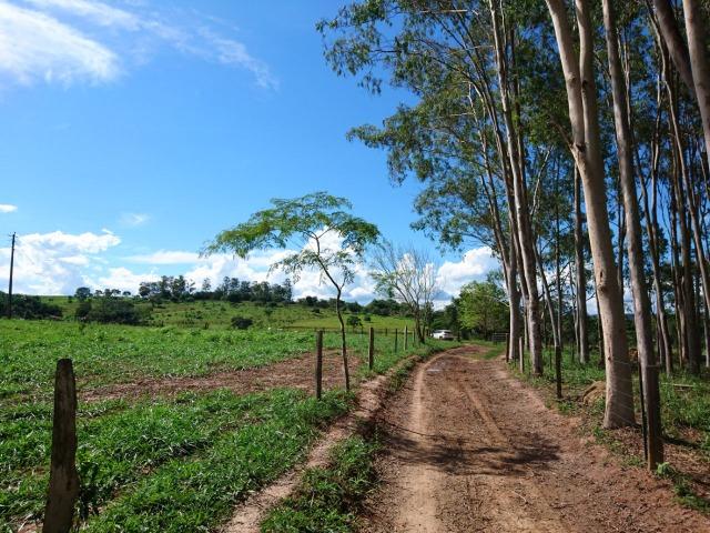 Fazenda 70 Alqueires em Cristianópolis-GO (Lavoura e Gado) - Foto 15