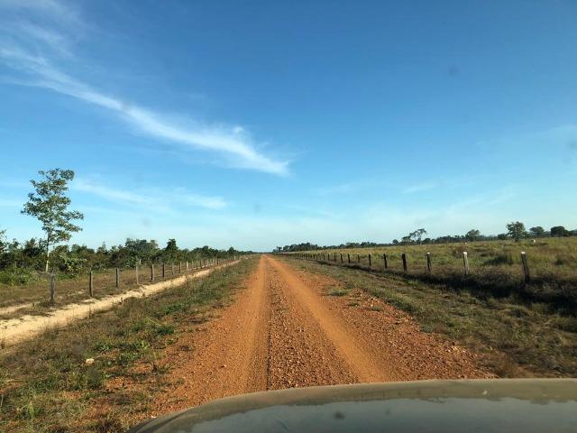 Fazenda Boa de Terra em Cocalinho - MT - Foto 4