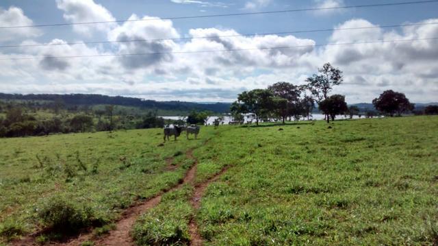 100 Alq. Cultura | Margem Lago | 78 km de Goiânia. R$ 15 Milhões - Foto 9