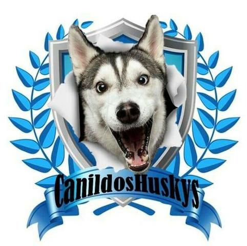 Em breve filhotes do canil