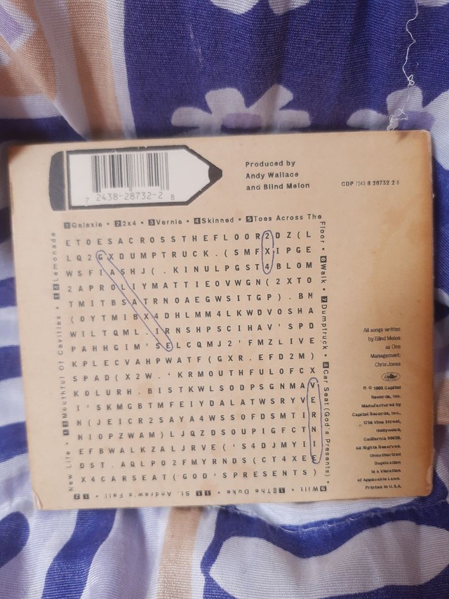 Cd blind melon - Foto 2