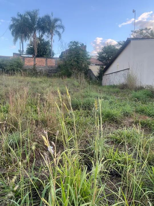 foto - Aparecida de Goiânia - Cardoso Continuação