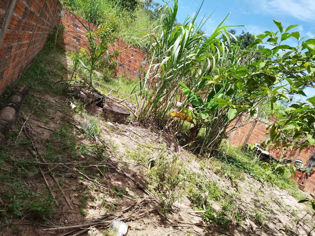 foto - Anápolis - Sítios de Recreio Vale das Laranjeiras
