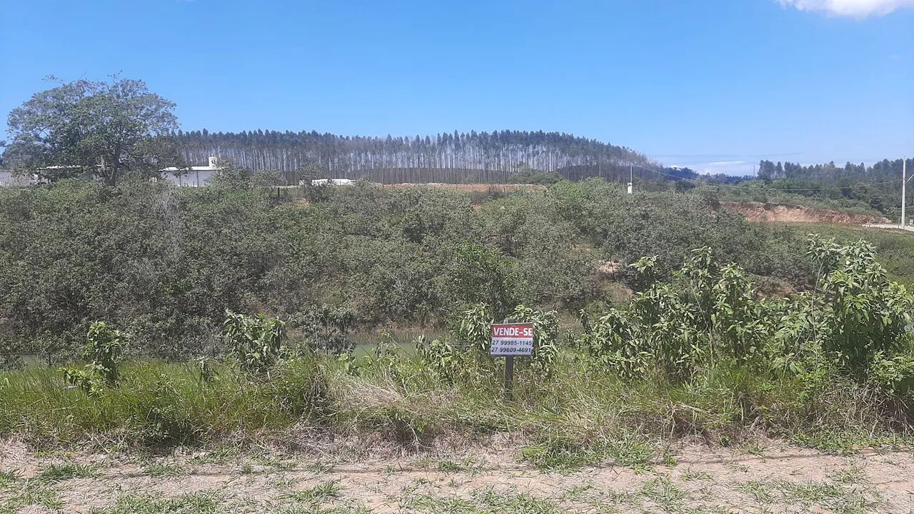Foto - Aracruz - São Marcos
