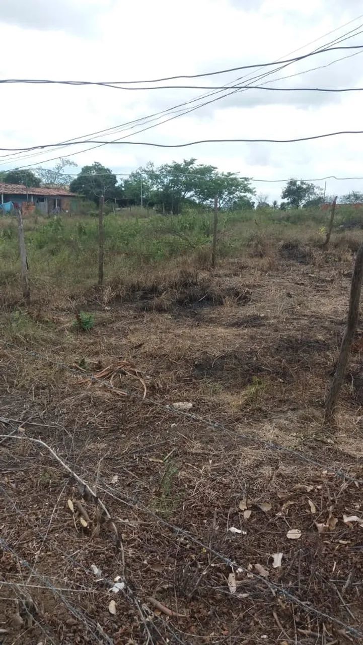 Loteamento Jardim Vila Ney - Quitado - (10m X 25m) 250m2 - Foto 5