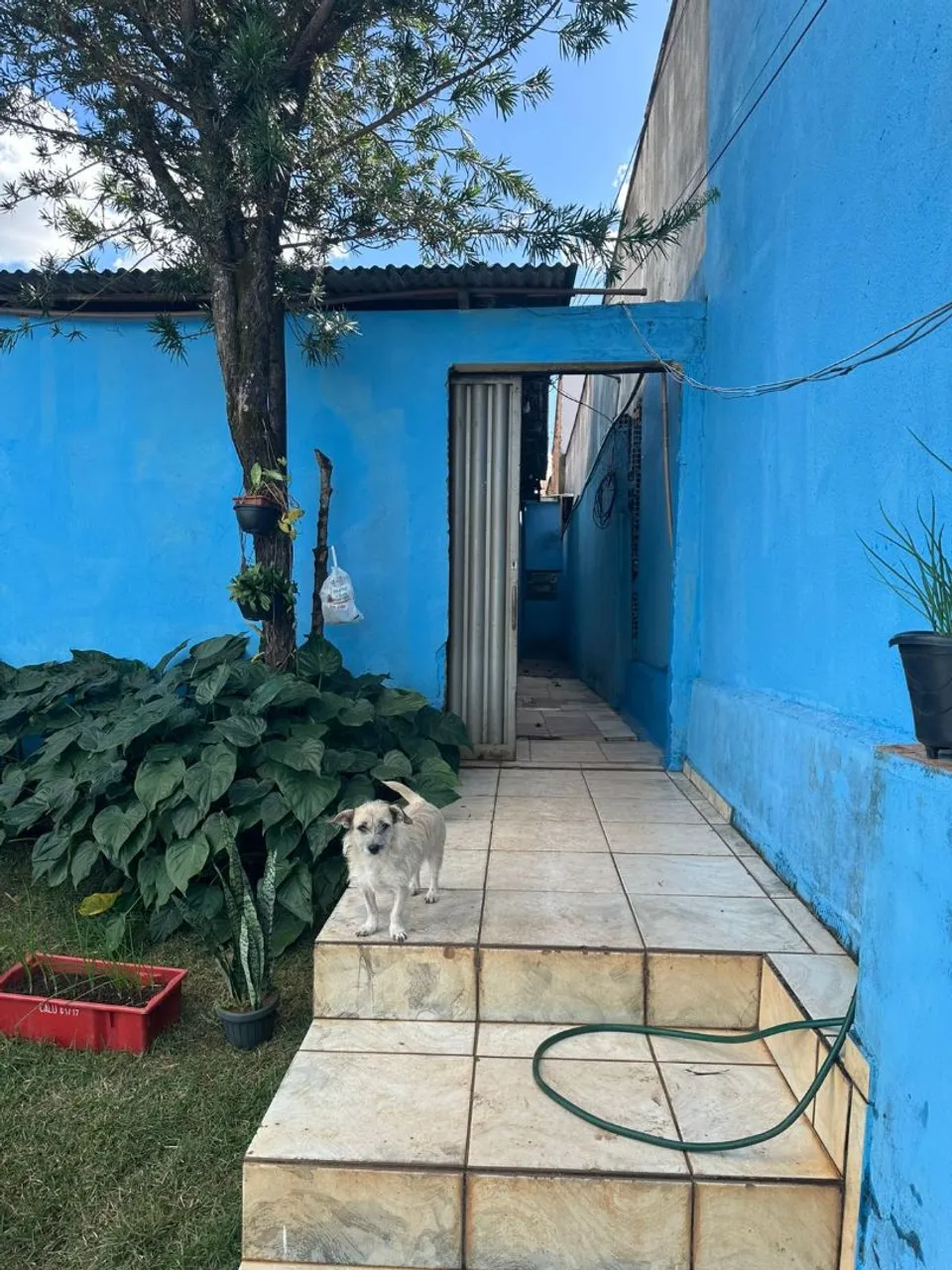 Automação Residencial: Simplifique sua vida!