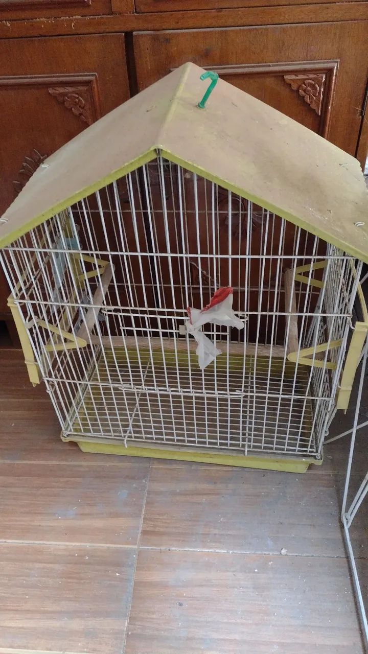 Viveiro calopsita  - Foto 4