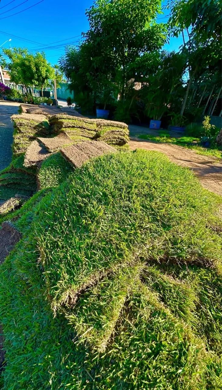 Gramado em placas para jardim e paisagismo