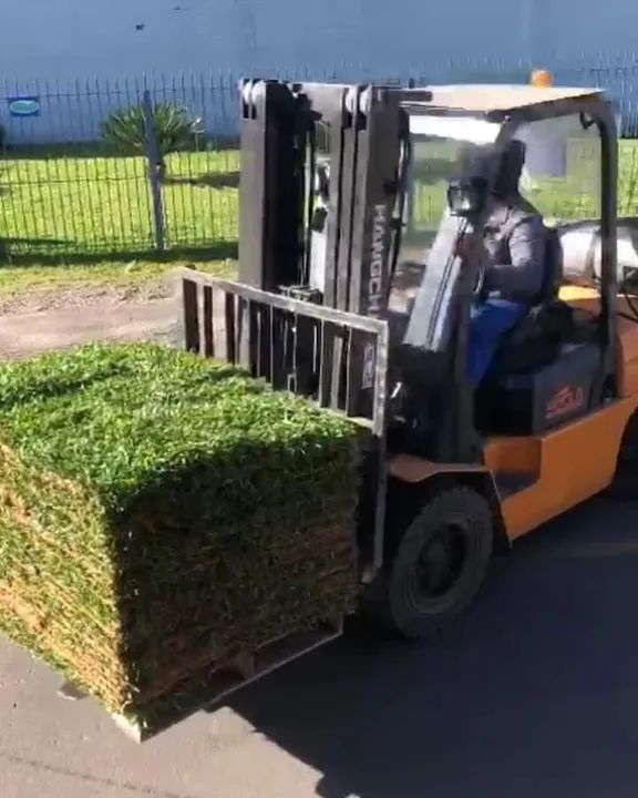 Grama são carlos minimo 100 mts
