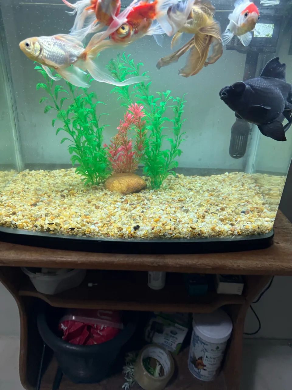 Vendo aquário completo  - Foto 2