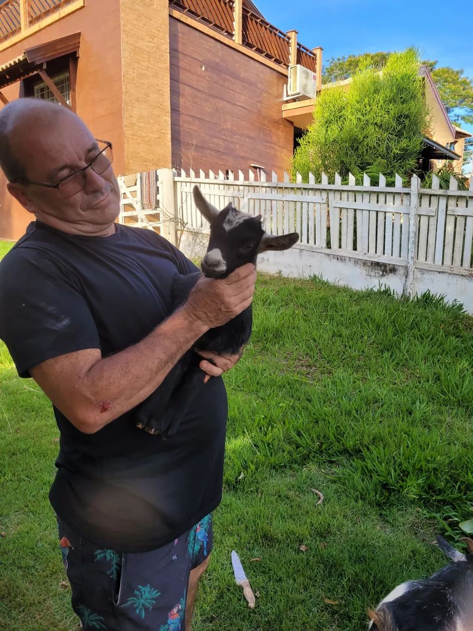 Agronegócio  - Foto 6