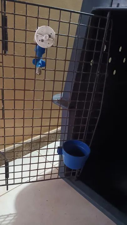 Caixa de Transporte para Cães - Foto 4