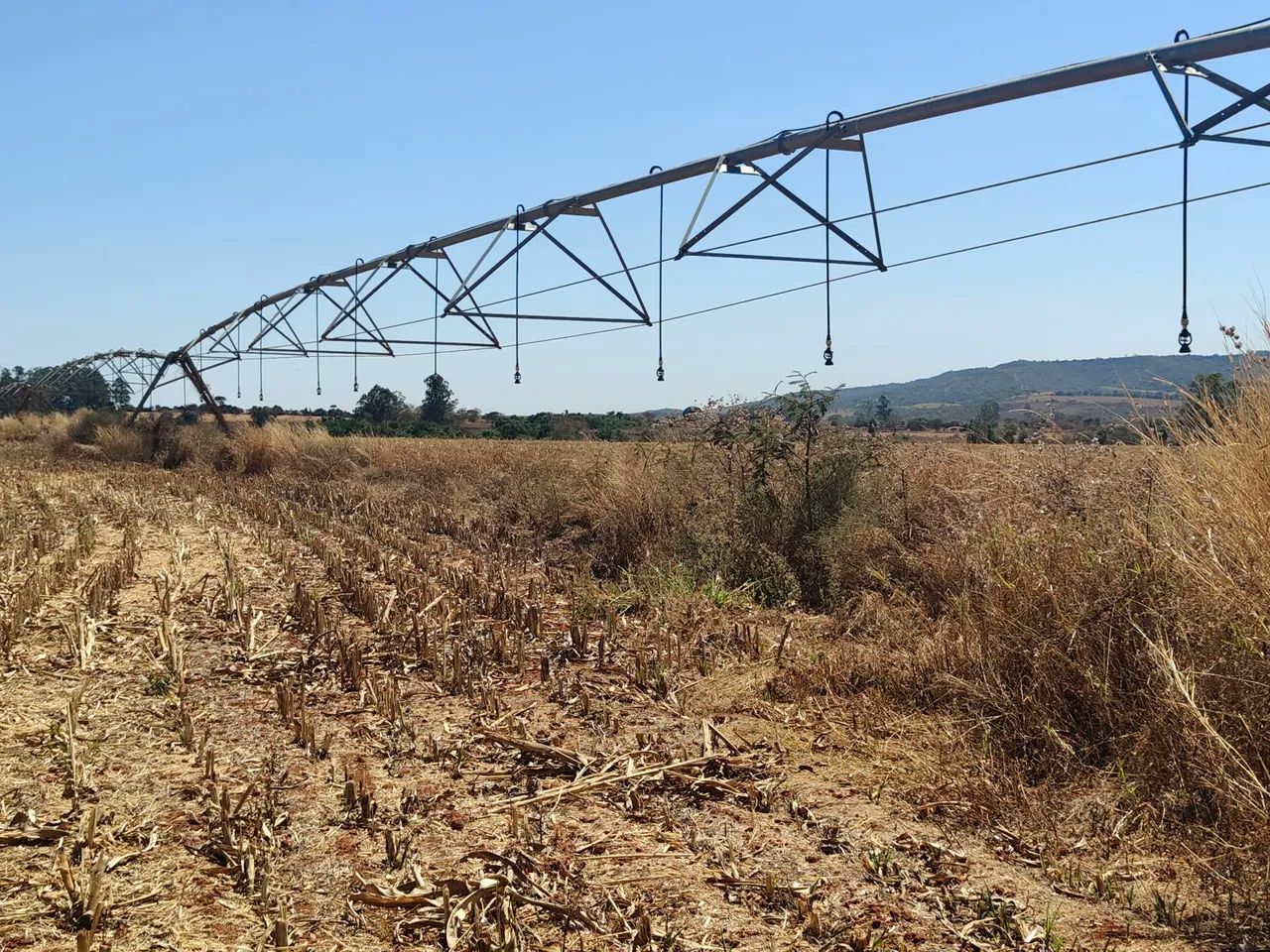 FAZENDA COM 80HEC, JA COM PIVÔ PRA IRRIGAÇÃO!! - Foto 4