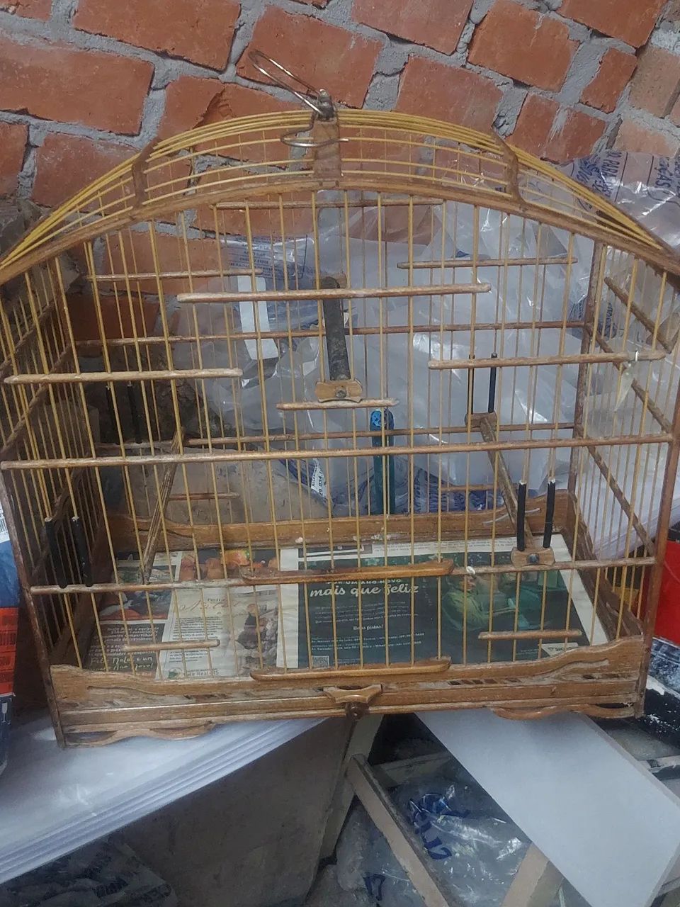 Gaiolas64304559533571120