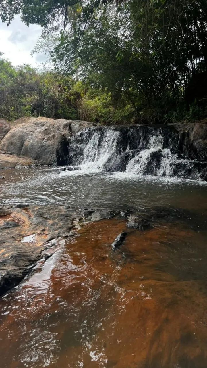 Terreno com cachoeira em florestal  - Foto 5