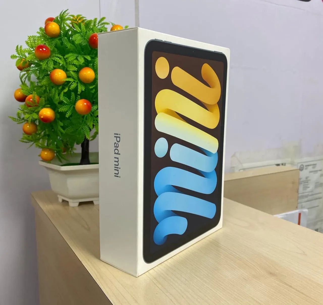 iPad Mini 