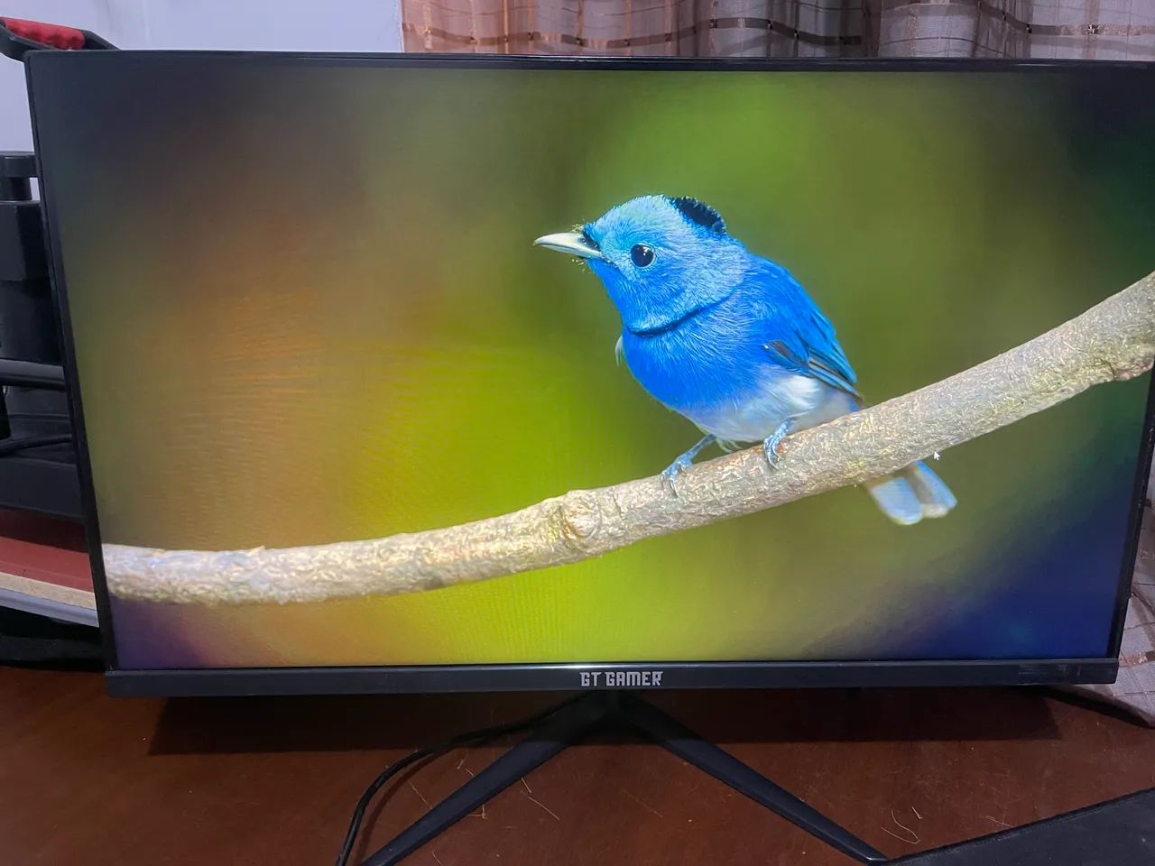 MONITOR GT GAMER 24 POLEGADAS 75 HZ