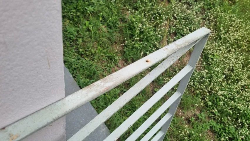 Grade de Ferro para Janela - Foto 3