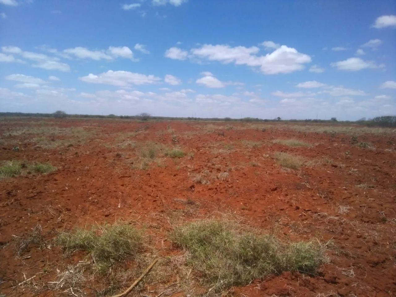 Fazenda em América Dourada - Foto 4