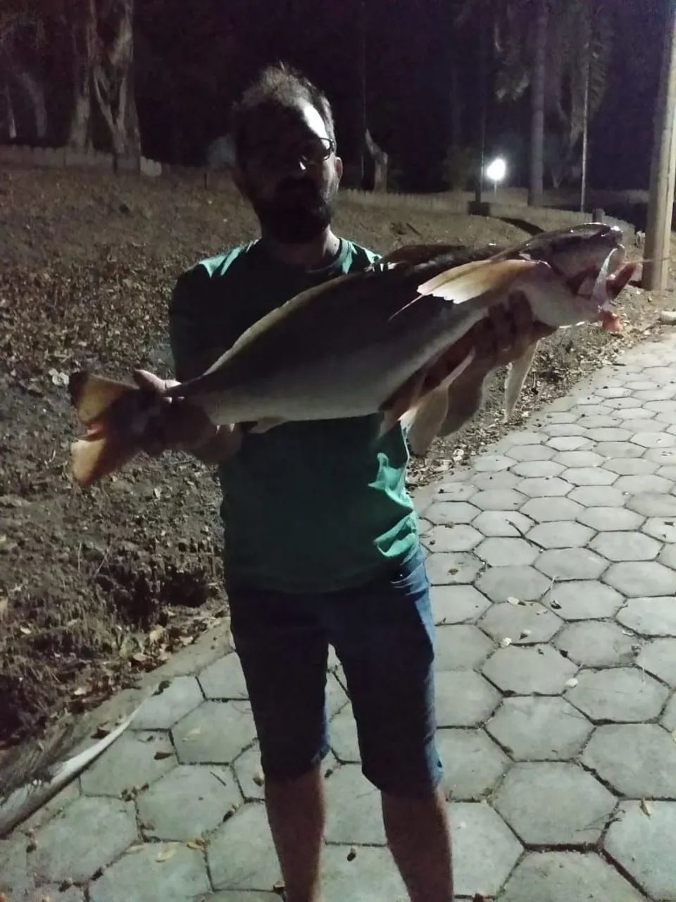 Chácara Lago Corumbá Caldas novas Go  - Foto 4