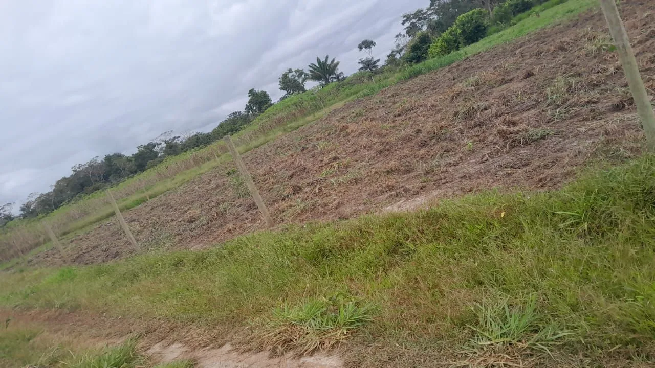 Terreno a venda
