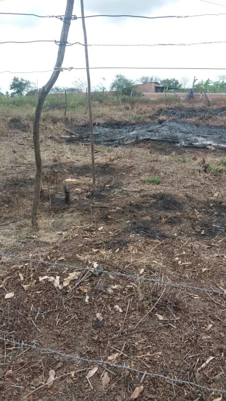 Loteamento Jardim Vila Ney - Quitado - (10m X 25m) 250m2 - Foto 4