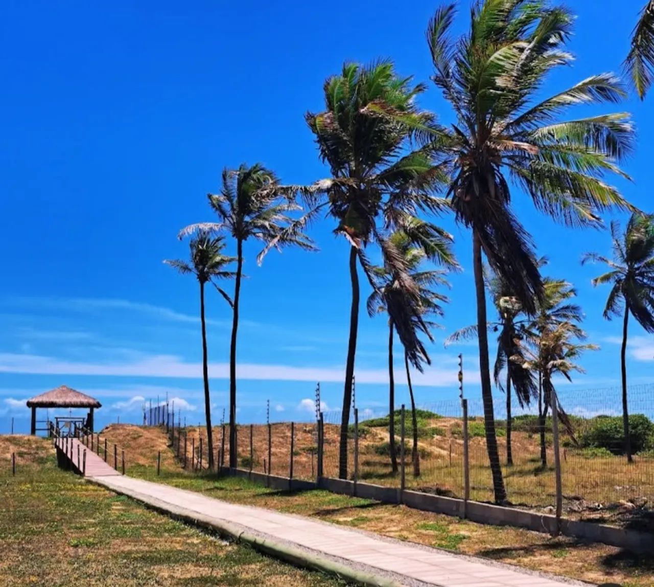 Sol e Praia - Lote Escriturado - Foto 3