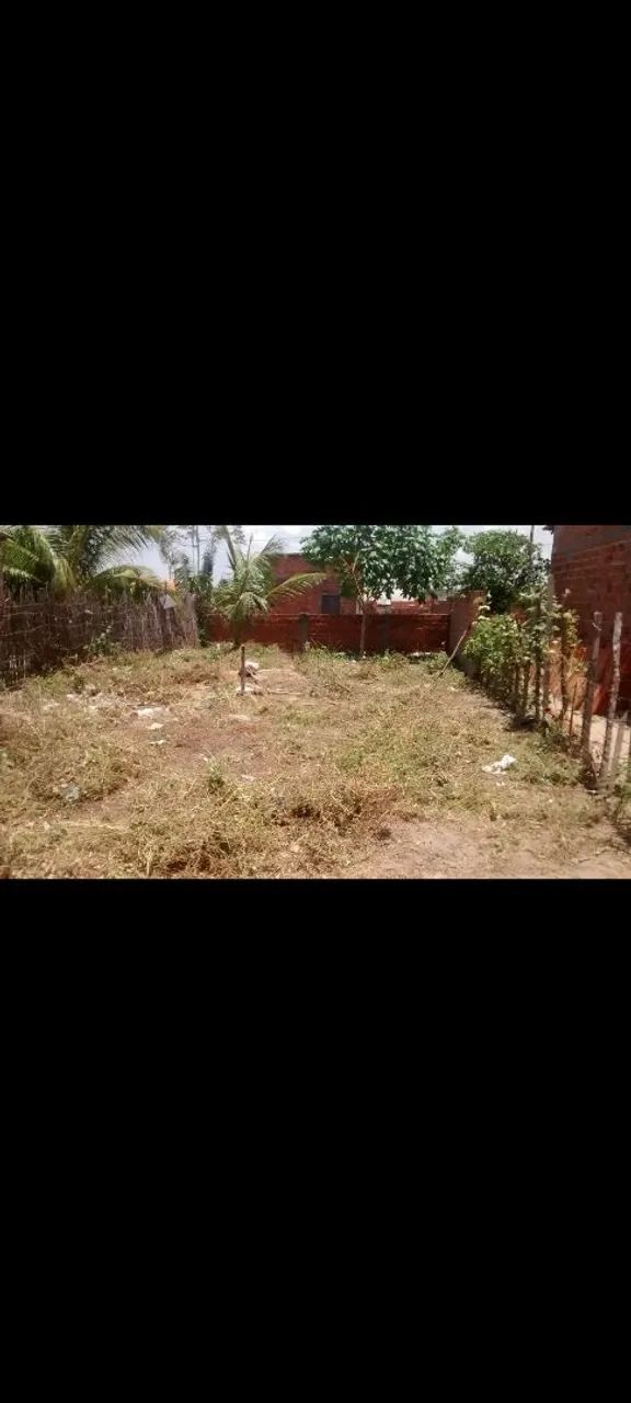 Terreno 8x20 - Foto 10