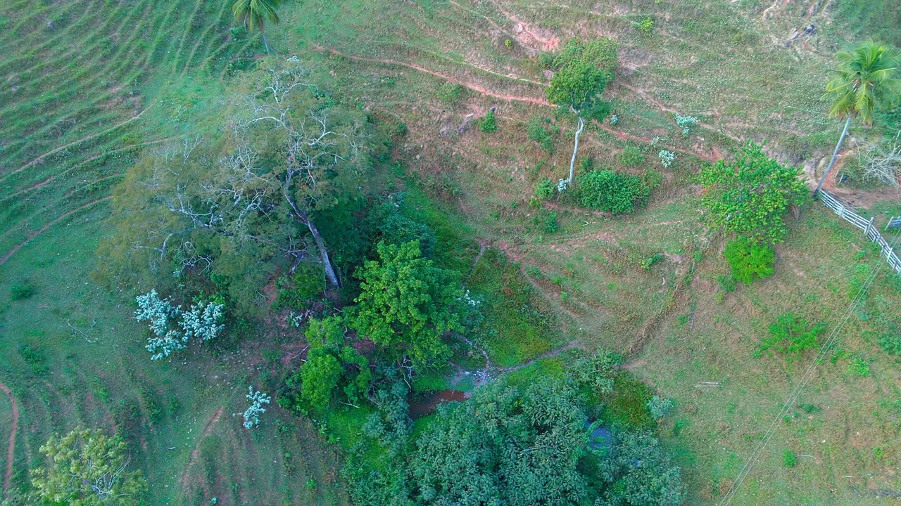 Vendo uma linda propriedade