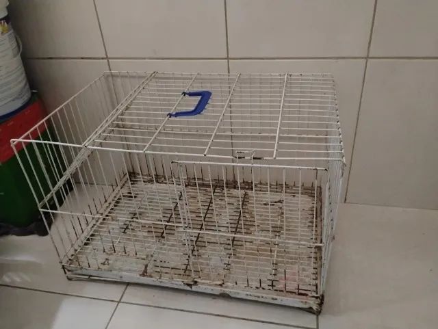 Gaiola de coelho