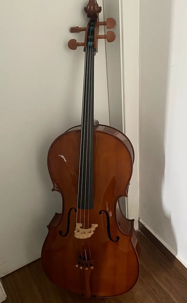 Violoncelo Eagle CE200 4/4 + Arco + Capa + Suportes - Foto 2