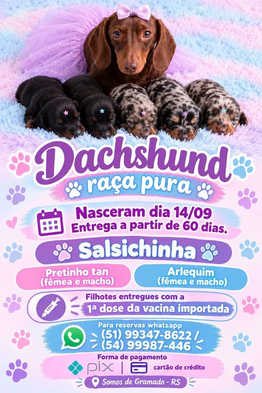 Linguinha para reserva 