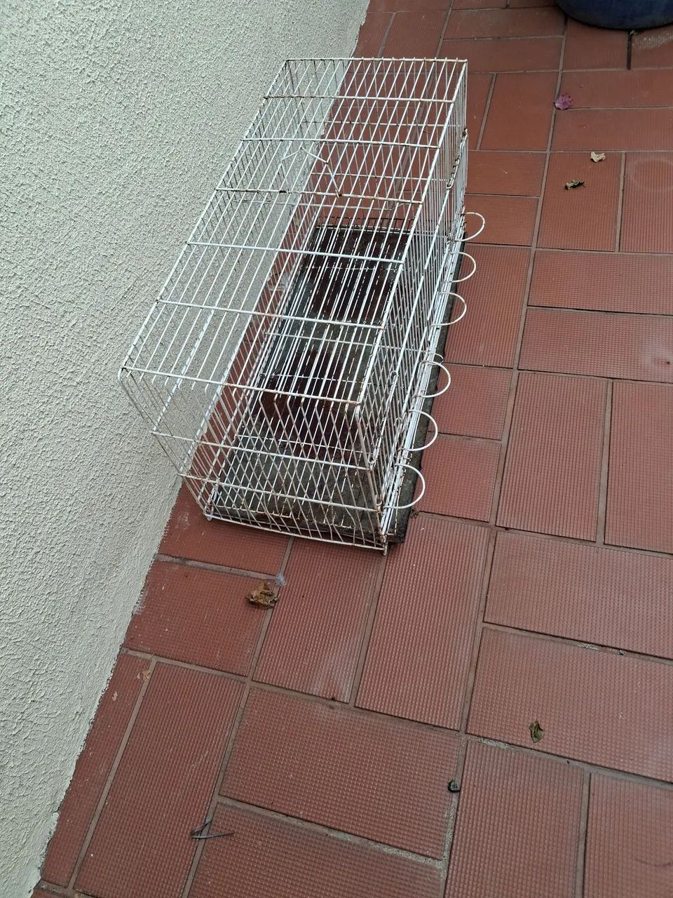 Gaiola grande - Foto 5