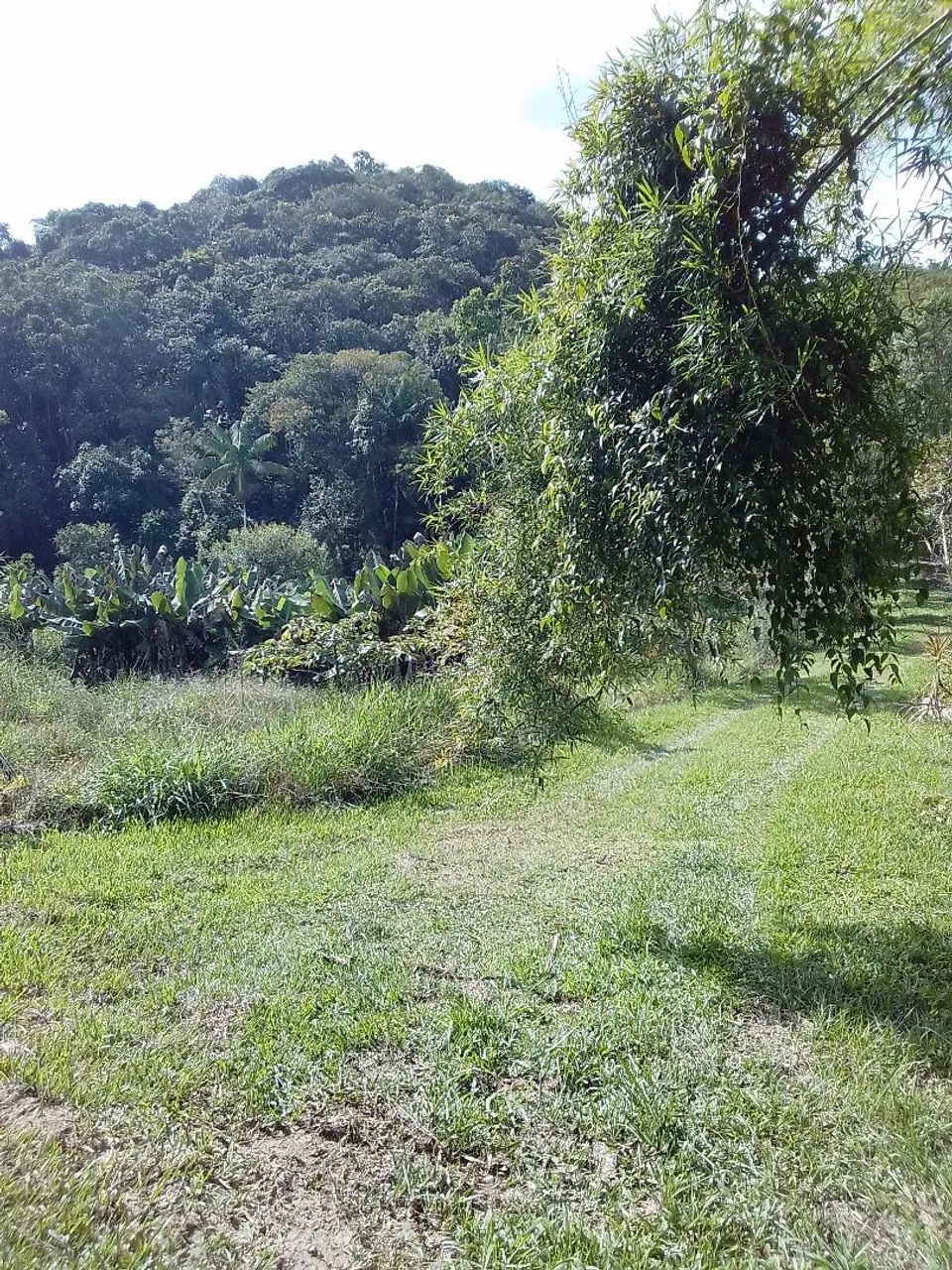 Sítio em juquitiba  - Foto 3