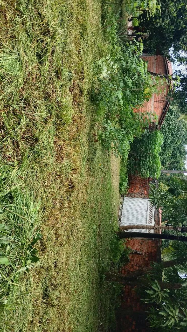 Vendo lotes e terreno  - Foto 2