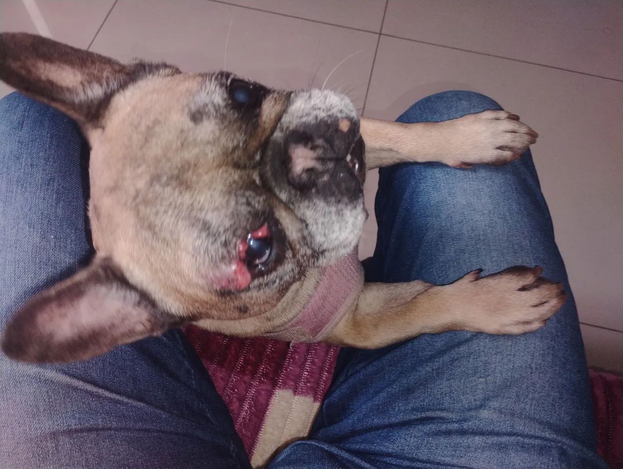 Doação 