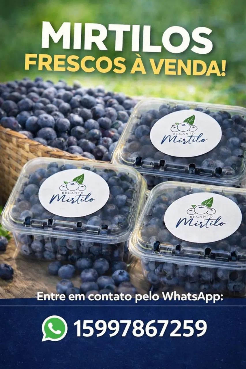 Mirtilo ?