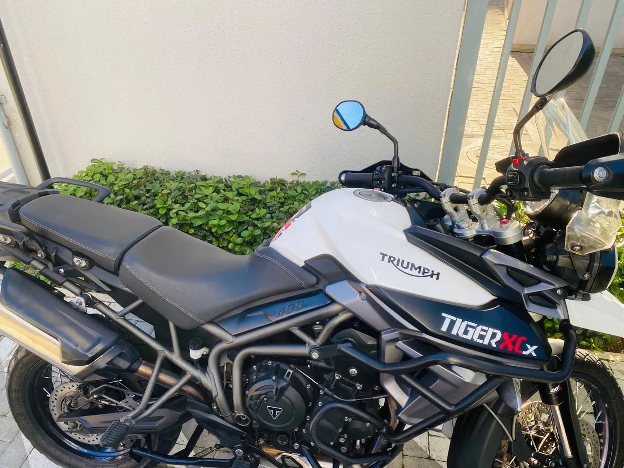 Tiger 800 - Foto 2