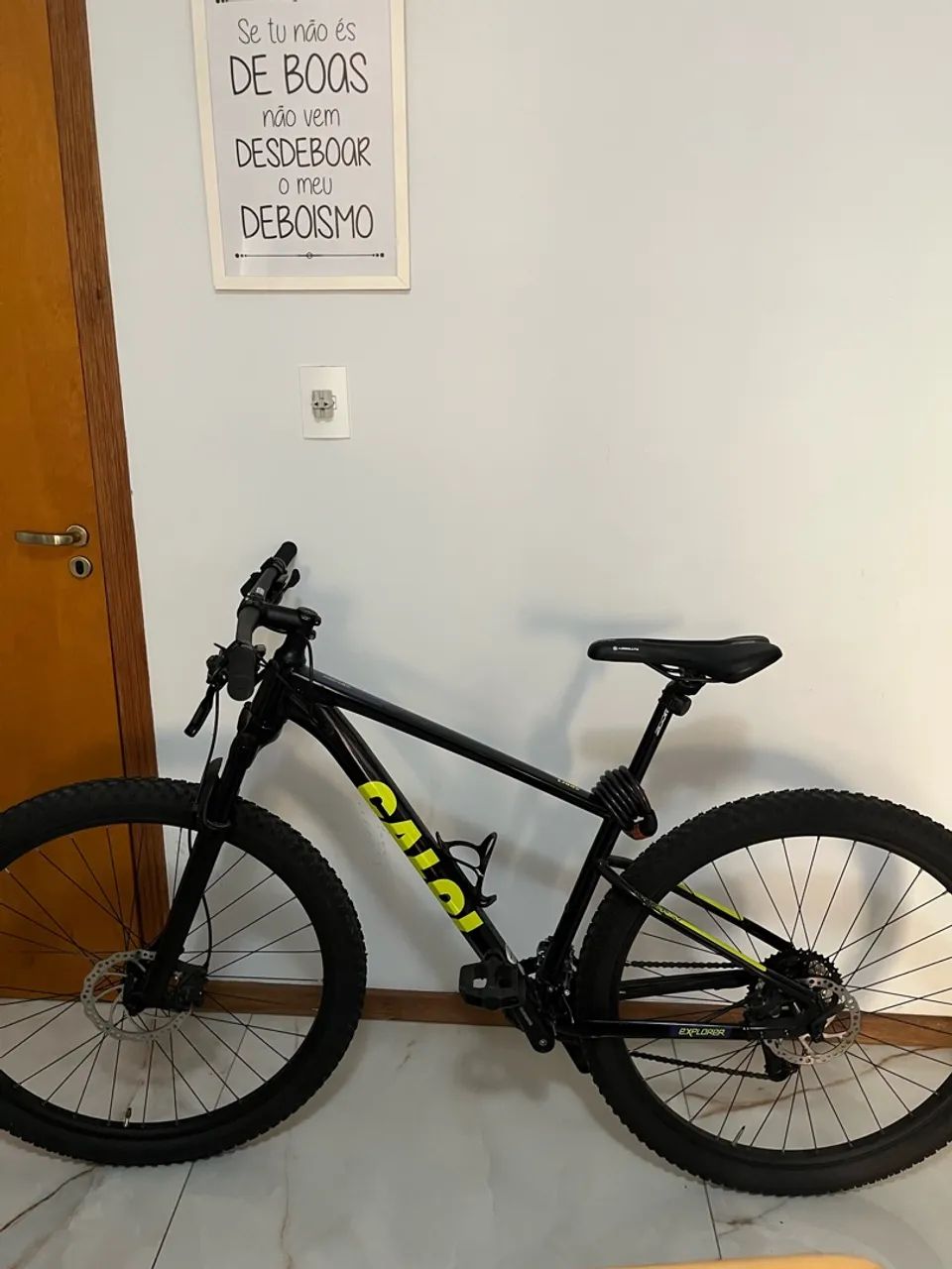 CALOI EXPLORER