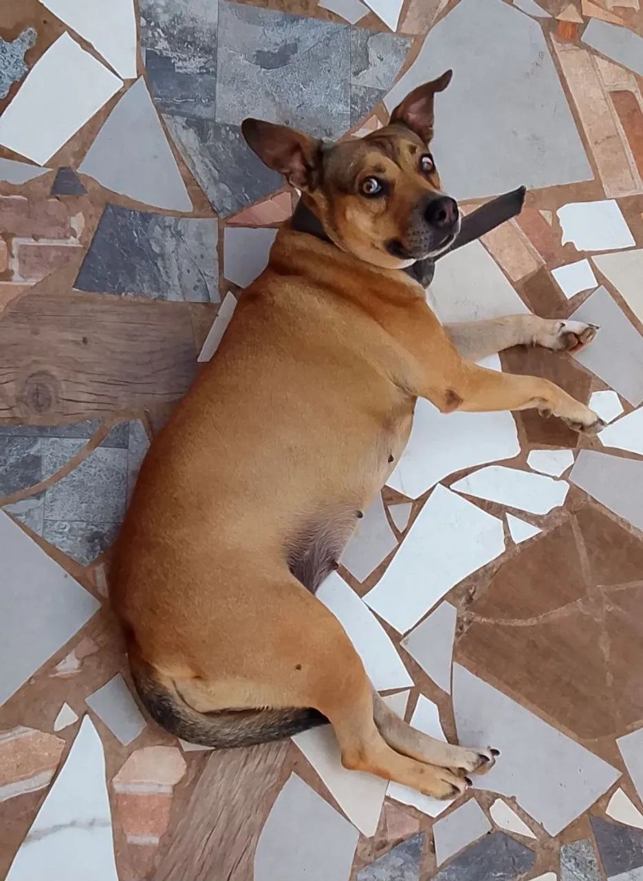 DOAÇAO  - Foto 2