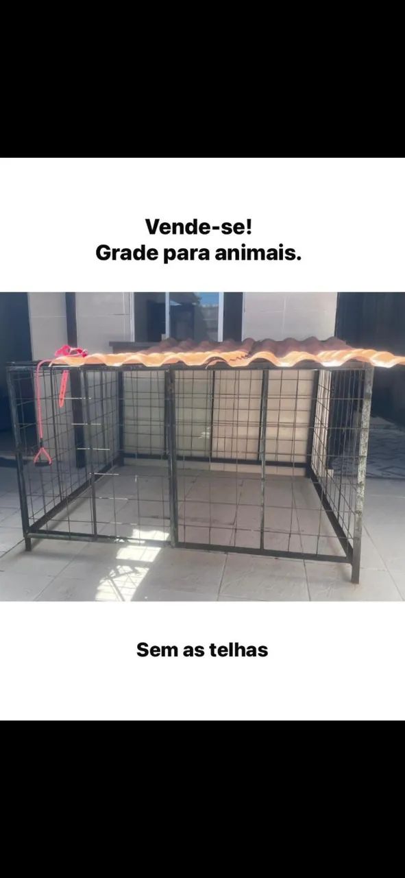 Gaiolão com porta 