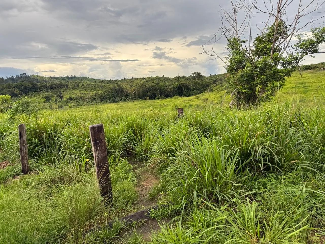 ? PROPRIEDADE RURAL À VENDA - Foto 5