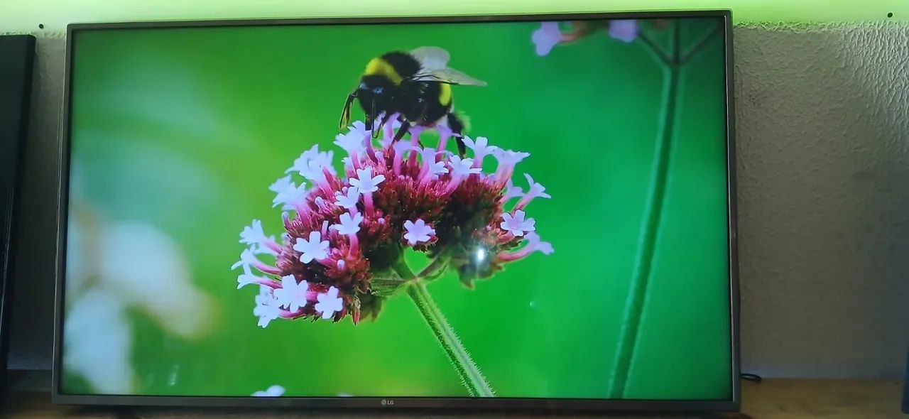 TV 50 polegadas 4k com cabo controle todos apss YouTube e Netflix é d mais  - Foto 2