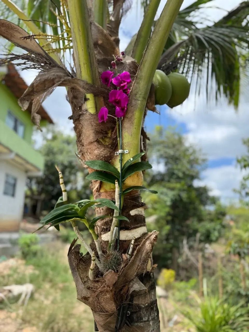 Casa inteligente - zona rural - Foto 8