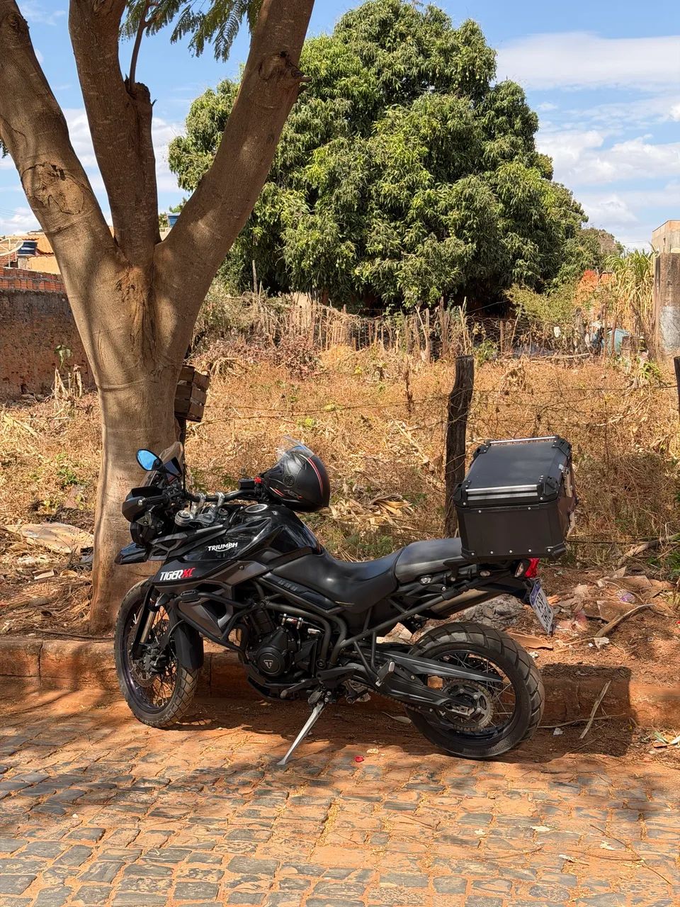 Tiger 800cx 