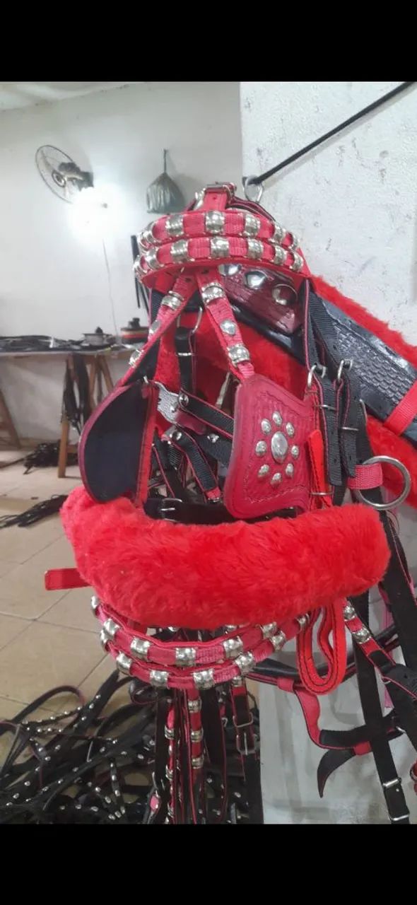 Corriama cavalo
