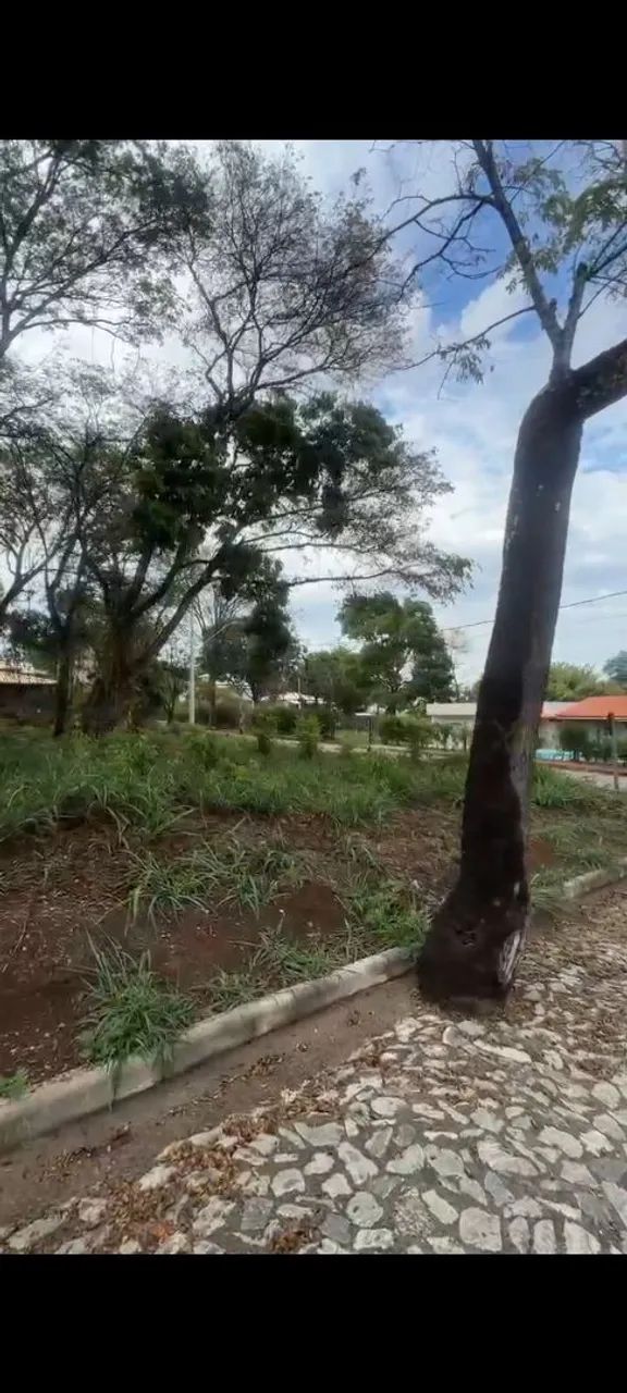 OPORTUNIDADE Lote Condomínio Lírios do Vale - Foto 5